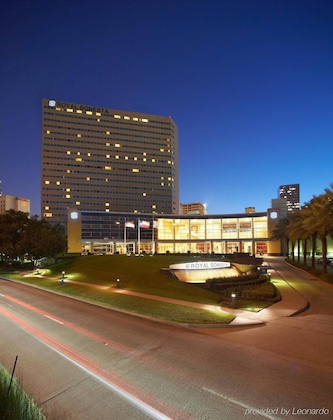 Gallery - The Royal Sonesta Houston Galleria