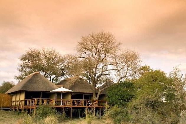Gallery - Camp Shonga