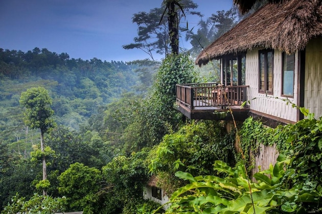 Gallery - Nandini Jungle By Hanging Gardens