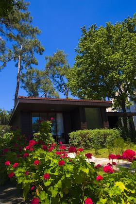 Gallery - Fortezza Beach Resort