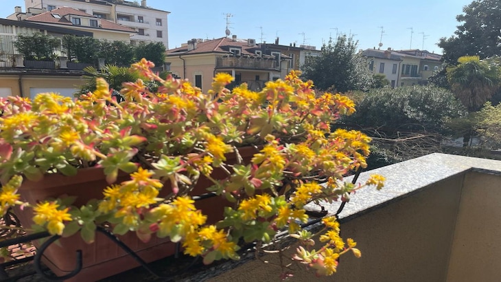 Gallery - Hotel Florence