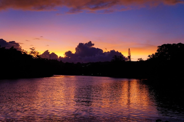 Gallery - Lagoon Gardens