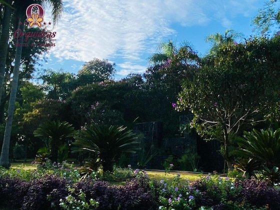 Gallery - Orquideas Palace