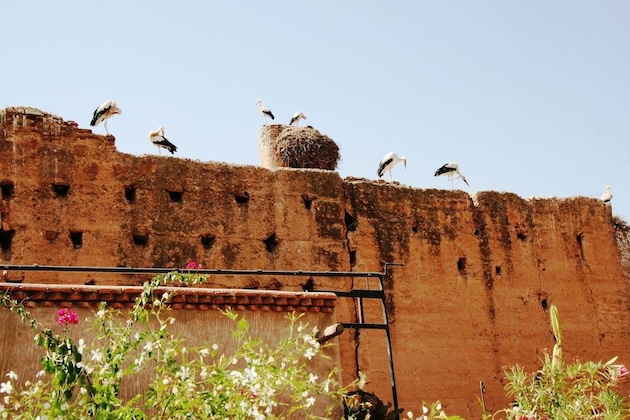 Gallery - Riad Carina
