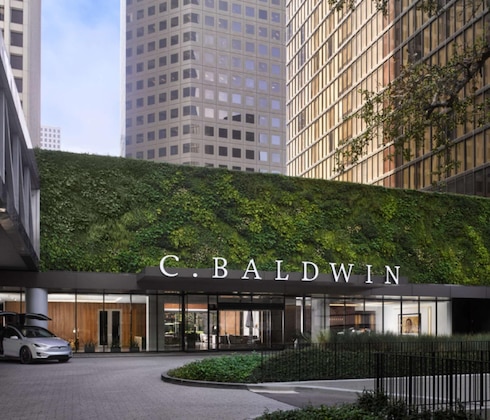 Gallery - C. Baldwin, Curio Collection By Hilton