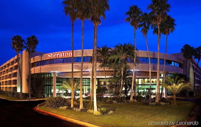 Gallery - Sheraton Tampa Brandon Hotel
