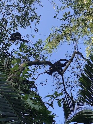 Gallery - Hotel Villa Maya