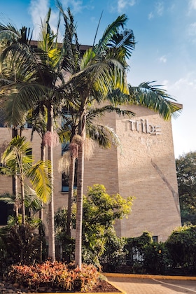 Gallery - Tribe Hotel