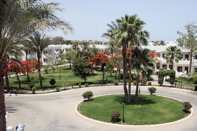 Gallery - Swiss Inn Resort Dahab