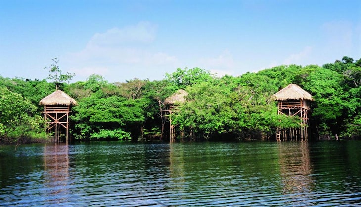 Gallery - Juma Amazon Lodge