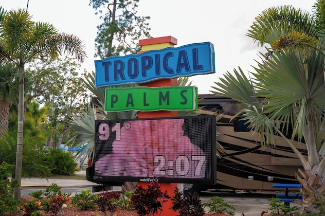 Gallery - Tropical Palms Resort