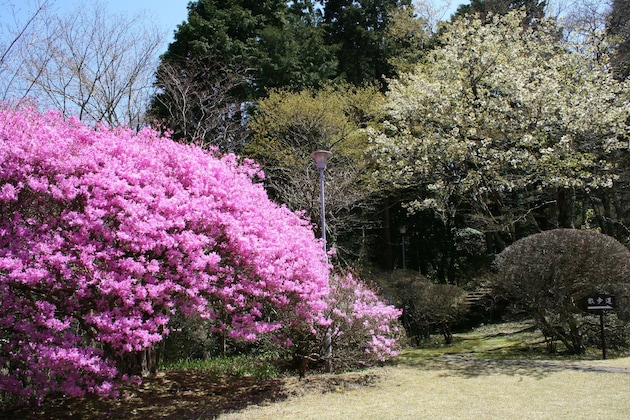 Gallery - Senkyoro