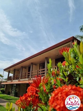Gallery - Hotel Amapola Resort