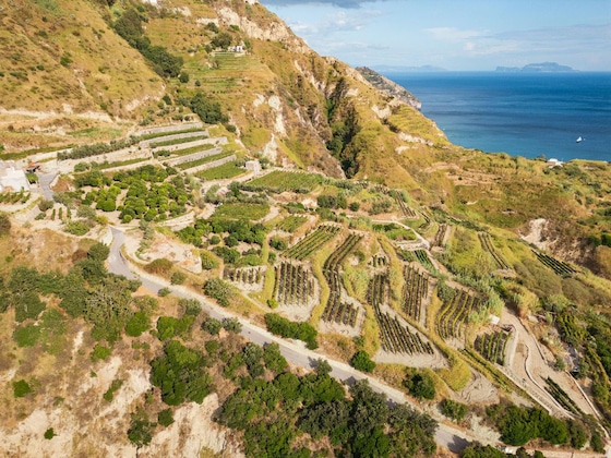 Gallery - Punta Chiarito Resort