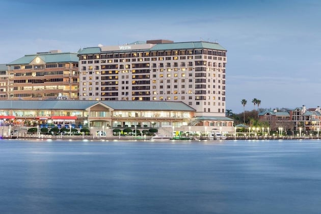 Gallery - The Westin Tampa Waterside