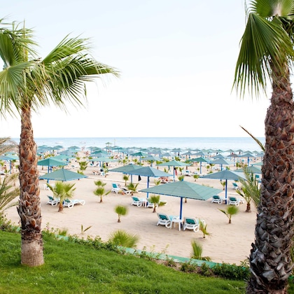 Gallery - Paloma Oceana Resort
