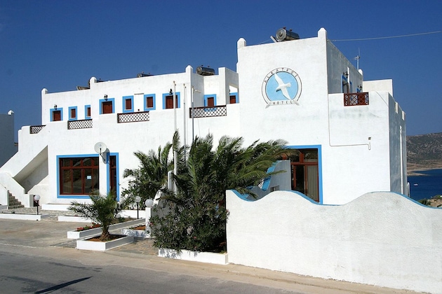Gallery - Albatros