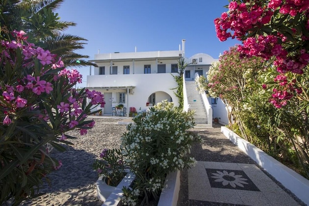 Gallery - Thira's Dolphin