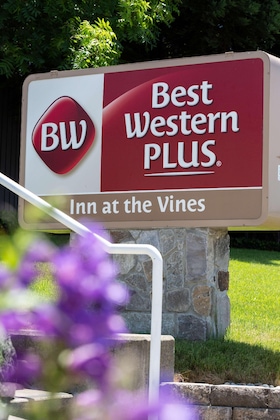Gallery - Best Western Plus Inn At The Vines
