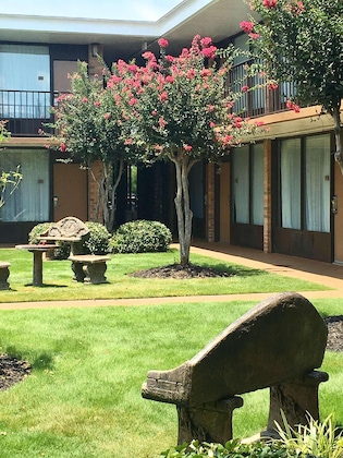 Gallery - Best Western Greenville Airport Inn