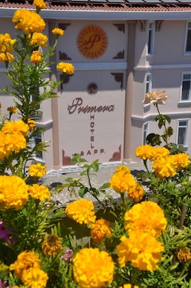 Gallery - Primera Hotel