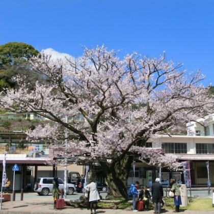 Gallery - Kawasegien Isuzu Hotel