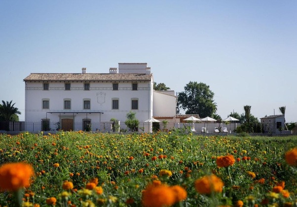 Gallery - La Mozaira