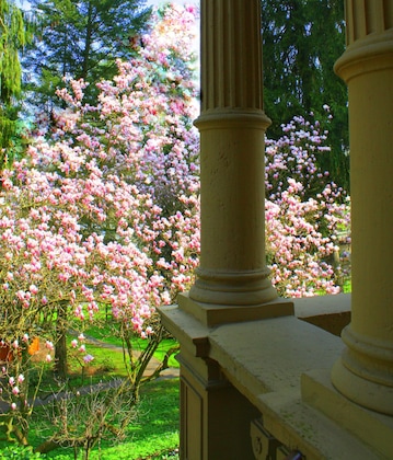 Gallery - Villa Hammerschmiede Hotel & Restaurant