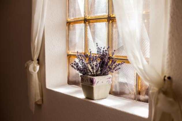 Gallery - Hotel Bacchus