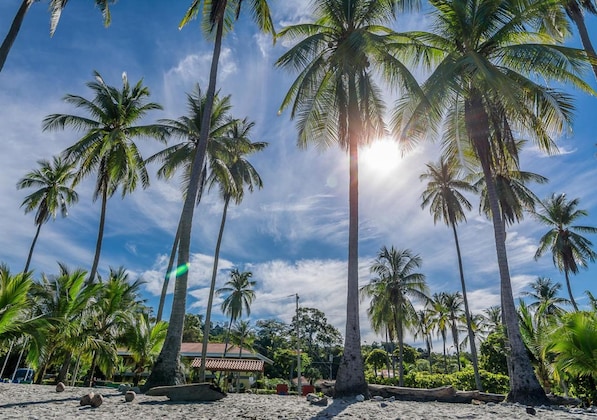 Gallery - Hotel Manuel Antonio