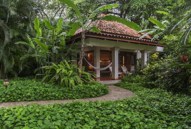 Gallery - Capitán Suizo Beachfront Boutique Hotel