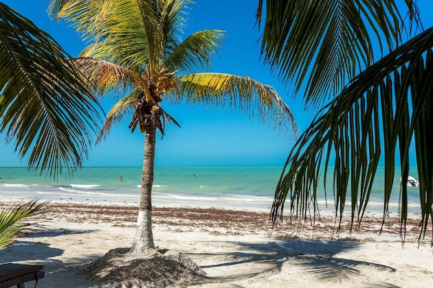 Gallery - Holbox Dream Beach Front Hotel