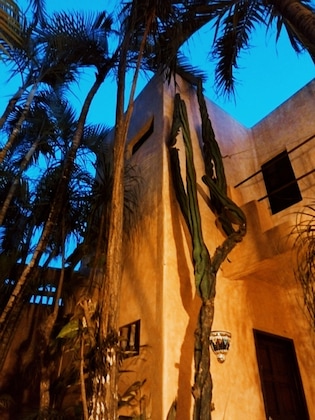 Gallery - Hotel Barrio Latino
