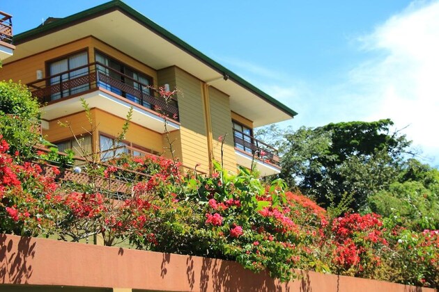 Gallery - Hotel Ficus - Monteverde