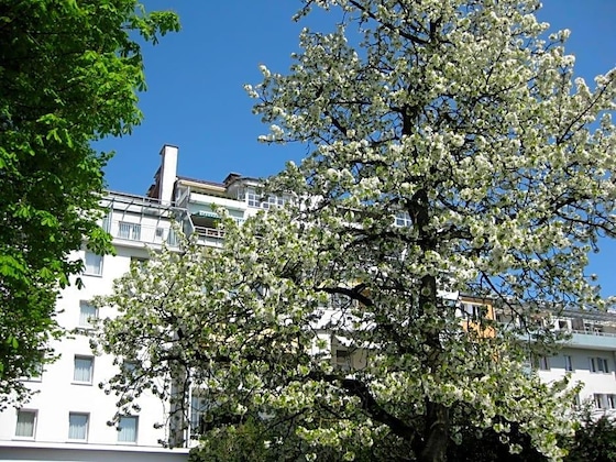 Gallery - Dom Hotel
