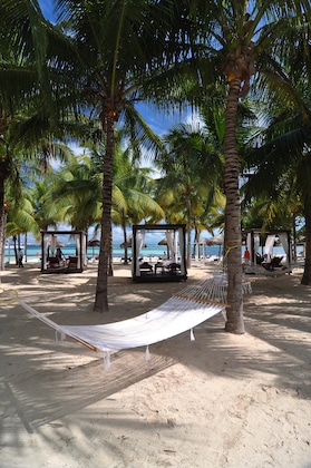 Gallery - Grand Oasis Palm - All Inclusive