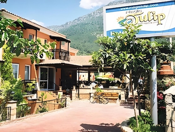 Gallery - Magic Tulip Hotel