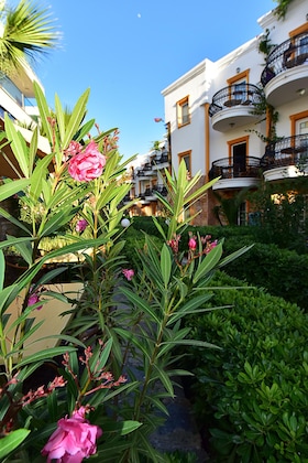 Gallery - Tropicana Beach Hotel