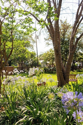Gallery - Plaza San Antonio Hotel & Spa, Autograph Collection