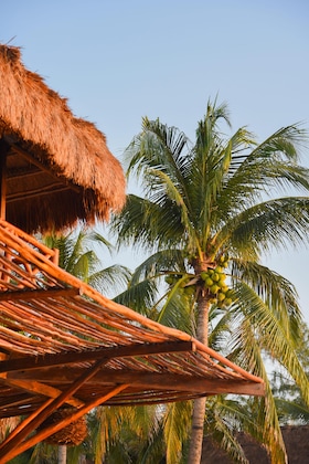 Gallery - Viceroy Riviera Maya