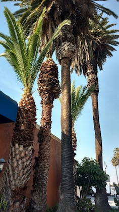 Gallery - Days Inn By Wyndham Los Angeles Lax Venicebch Marina Delray