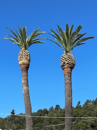 Gallery - Cambria Palms Motel