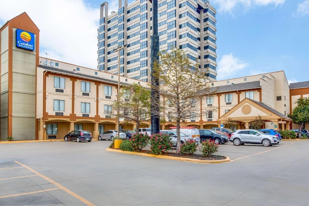 Gallery - Comfort Inn & Suites Love Field - Dallas Market Center