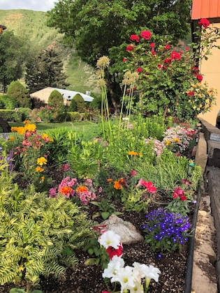Gallery - Glenwood Springs Cedar Lodge