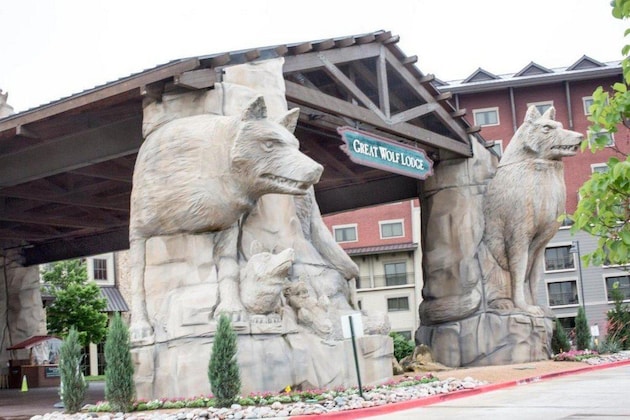 Gallery - Great Wolf Lodge Grapevine