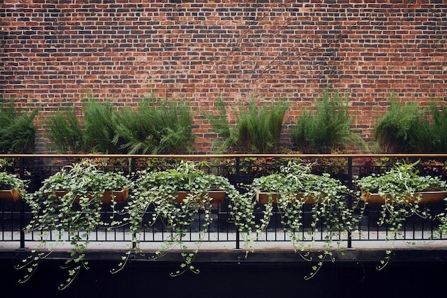 Gallery - The Broome Nyc