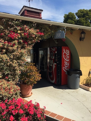 Gallery - Oasis Inn & Suites