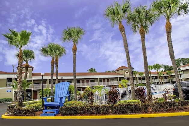Gallery - Hotel South Tampa & Suites