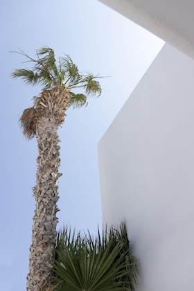 Gallery - Cavo Bianco Boutique Hotel & Spa