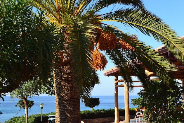Gallery - Residence New Paradise
